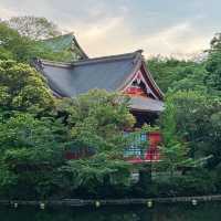 「交通公園～大自然恬靜」