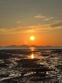 장화리 해수욕장의 여름 일몰, 황홀한 끝자락의 순간들 🌅