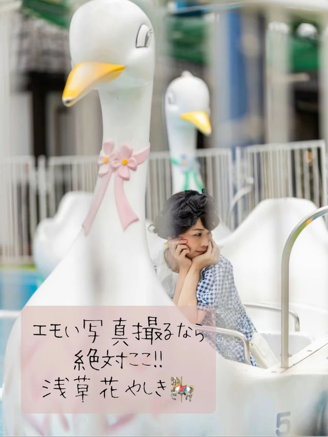 エモい写真撮るなら絶対ここ！！浅草花やしき🎠