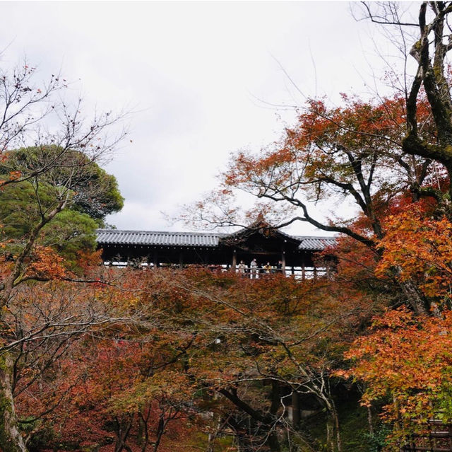 【京都観光】京都の紅葉スポット