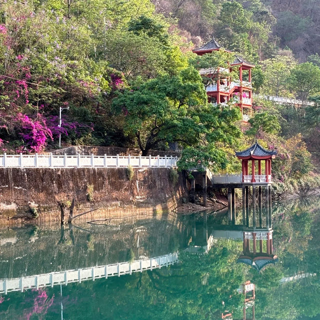 西勢水庫：清澈碧波、綠樹環抱，享受大自然的寧靜與舒適