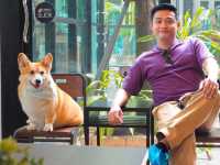 Corgi in the Garden คาเฟ่น้องหมาคอร์กี้