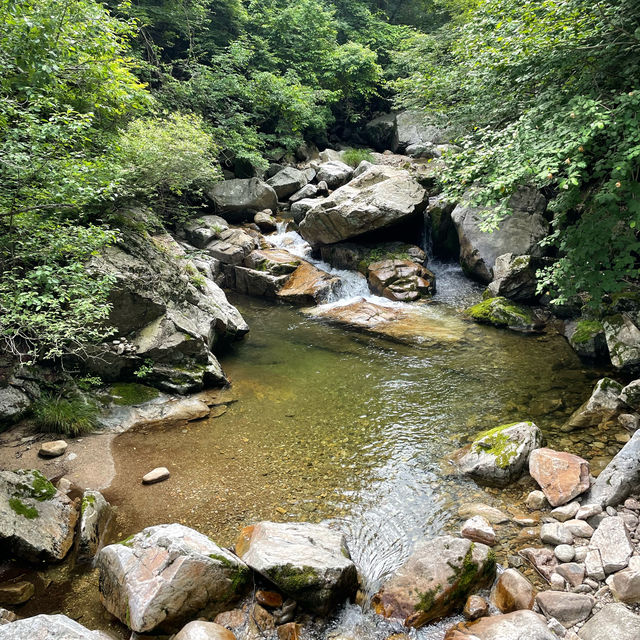 여름하면 계곡, 가평 유명산+유명계곡 추천!