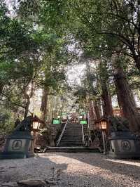 ✈️九州宮崎縣求夫妻和順的高千穗神社🤎