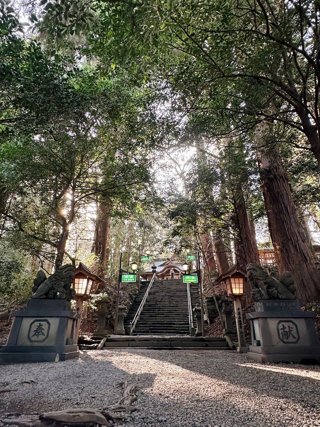 ✈️九州宮崎縣求夫妻和順的高千穗神社🤎