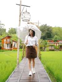 Rainy Day - บ้านนาก๋างโต้ง คาเฟ่กลางทุ่งนา