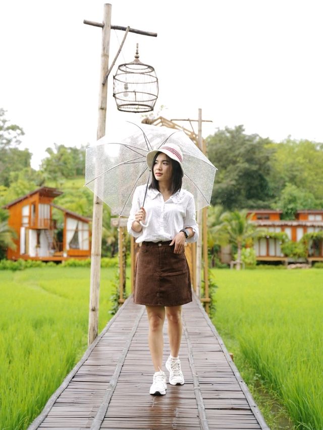 Rainy Day - บ้านนาก๋างโต้ง คาเฟ่กลางทุ่งนา