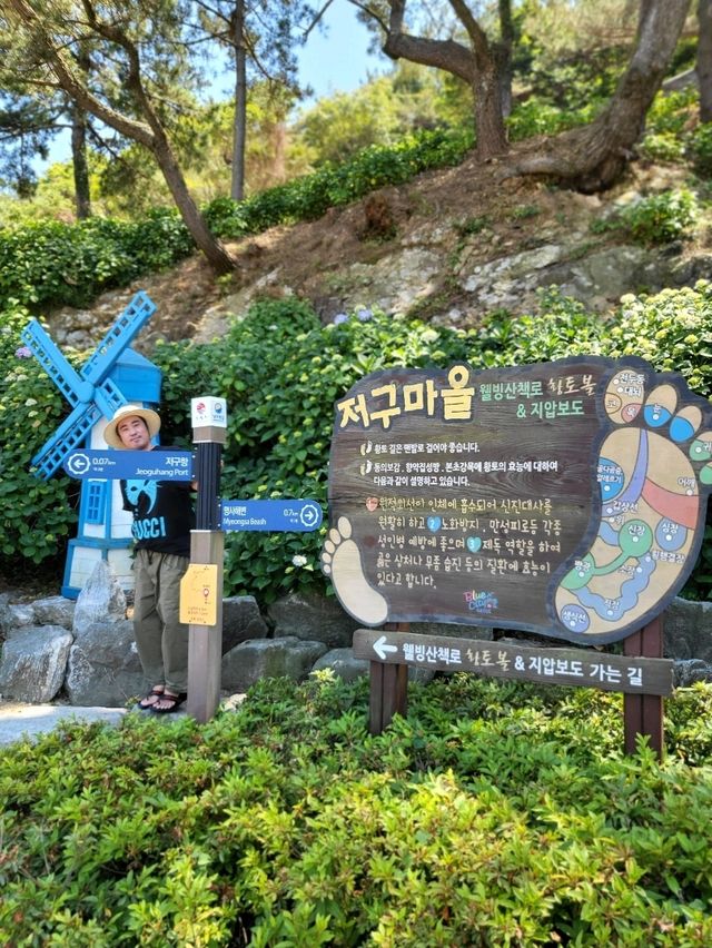 거제도 수국명소 저구항