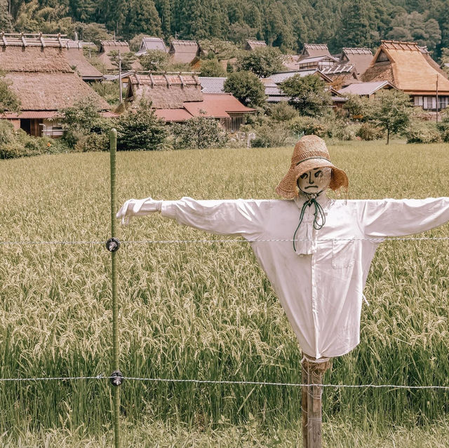 หมู่บ้านโบราณสุดน่ารักแห่งเมืองเกียวโต!🛖