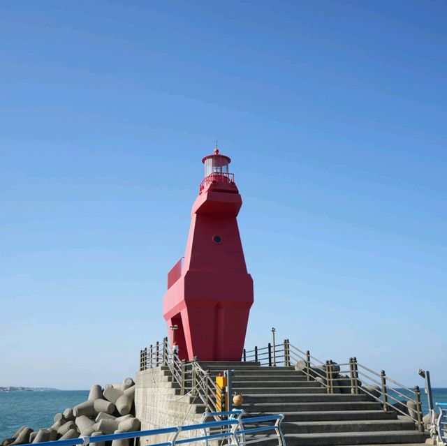 제주 여행 중 들려보면 좋은 이호테우해수욕장