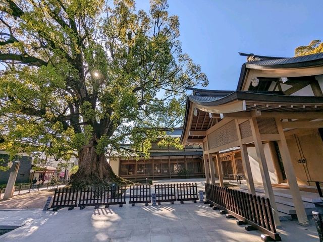 日本福岡-考生必來參拜的學問之神：太宰府天滿宮