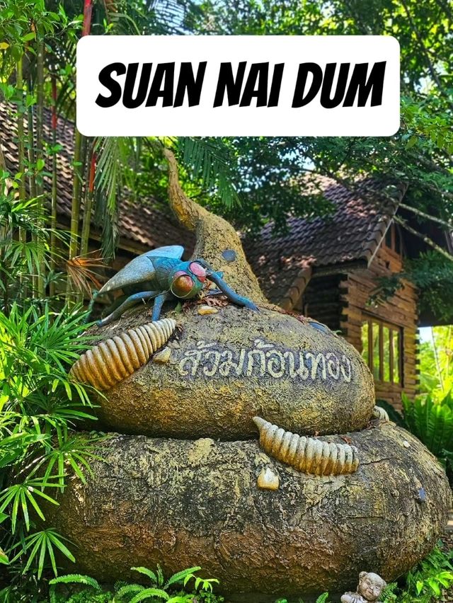 สวนนายดำ
