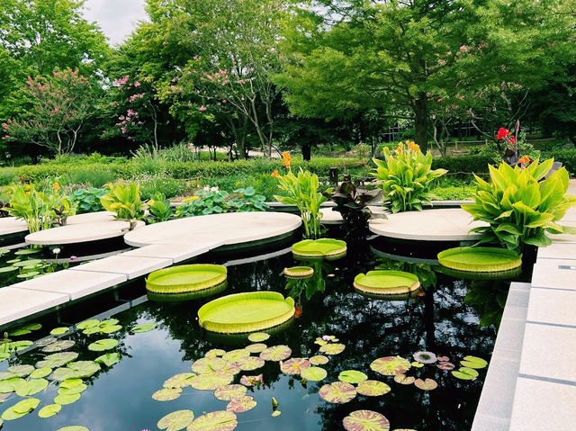 Korea Expressway Corporation Arboretum (Jeonju Arboretum )