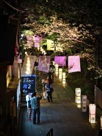 【この夏行くべき】江ノ島で体験するライトアップイベント✨