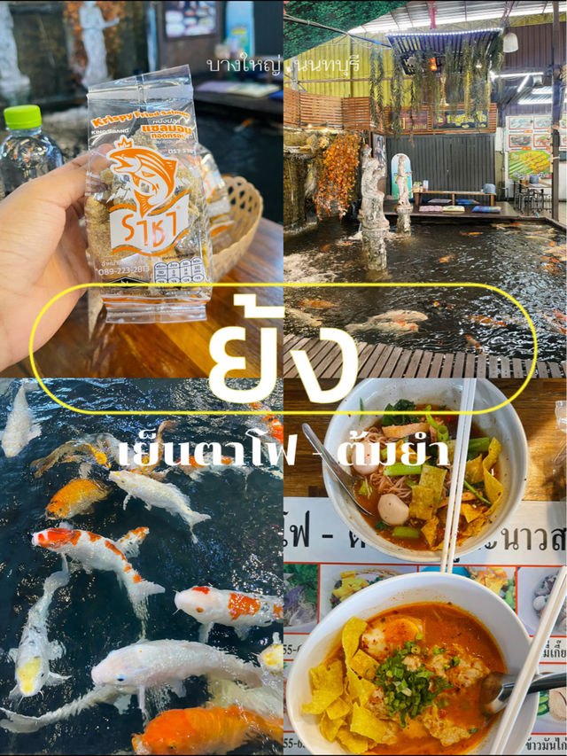 แนะนำร้านก๋วยเตี๋ยวบรรยากาศดี ย้ง 🍜