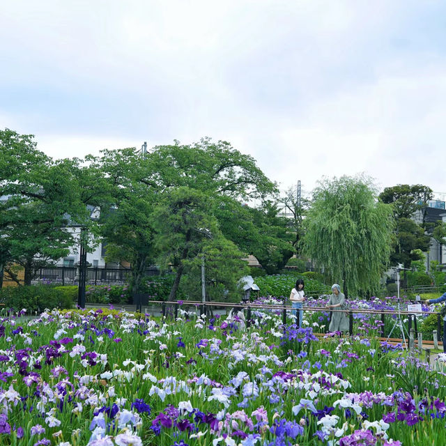 掛川花鳥園♥️鳥鳴蝴舞
