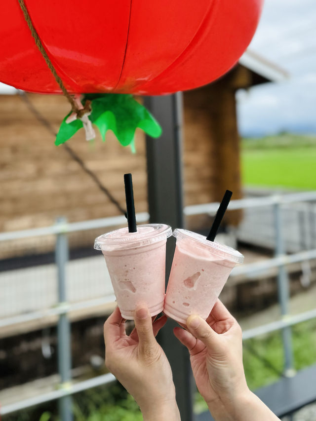 【福岡グルメ】新鮮な野菜とフルーツで作るスムージーはいかが？🍅