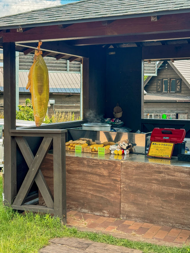 【北海道旅遊】夏季限定‼️富良野富田哈密瓜工房