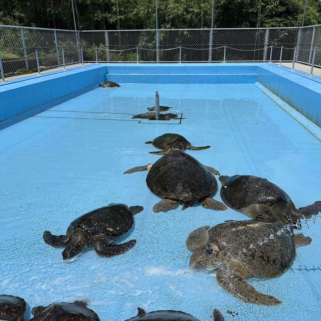 【高知】学校に水族館？！