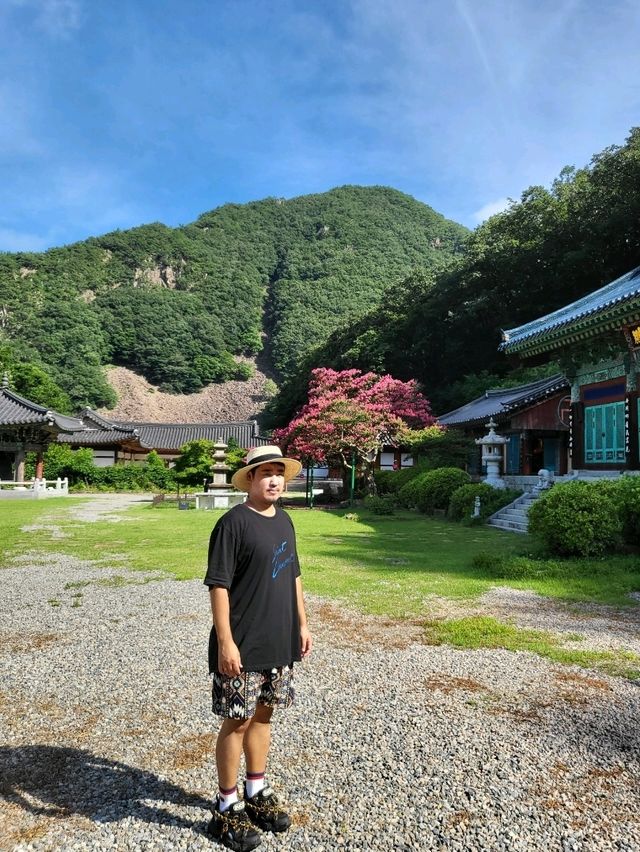 호랑이가 있는 충북 영동 반야사