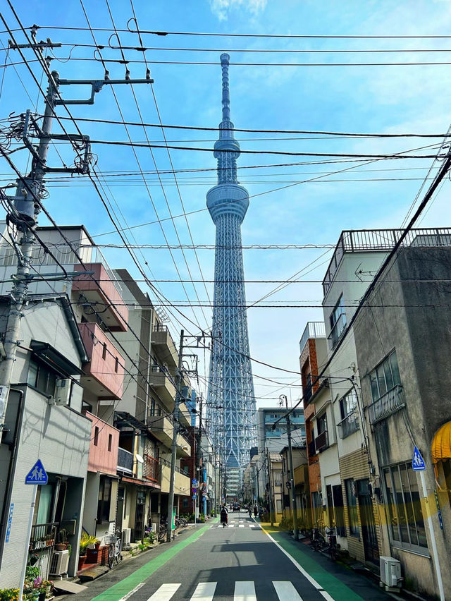 【東京】晴空塔：網紅地打卡，世界最高電視塔🔥🏖️