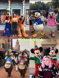 Character Guide at Shanghai Disneyland 🐰🇨🇳
