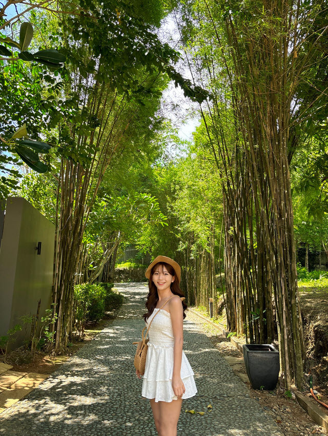 숲속 정원 마을에 있는듯한 느낌을 주는 보라카이 숙소🏝️