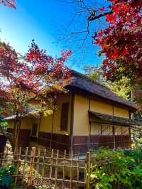 〜神奈川県〜10の重要文化財が集まる日本文化スポット！
