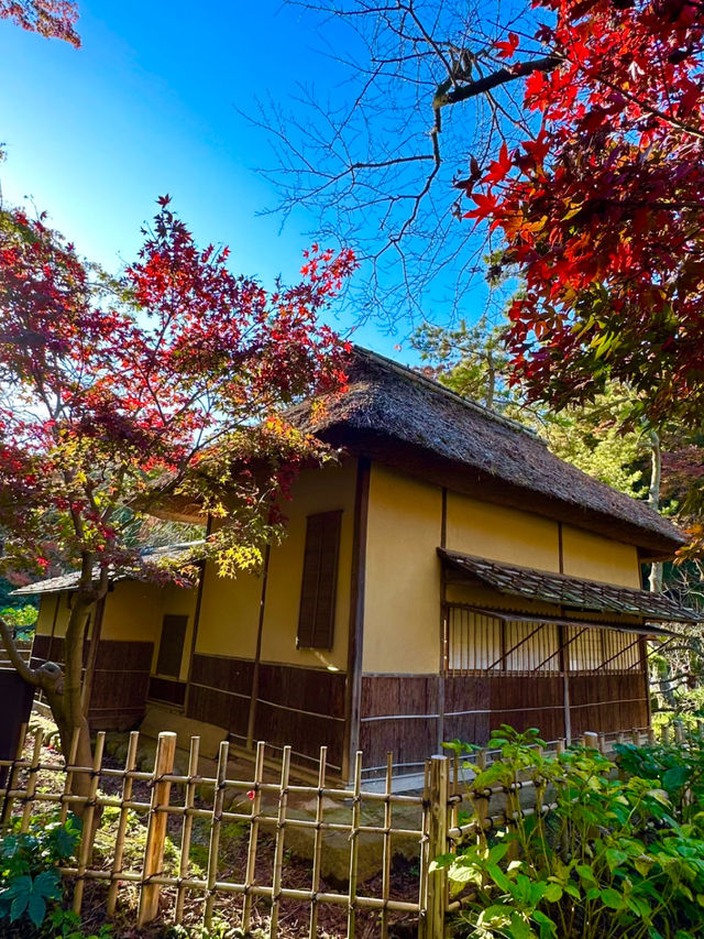 〜神奈川県〜10の重要文化財が集まる日本文化スポット！