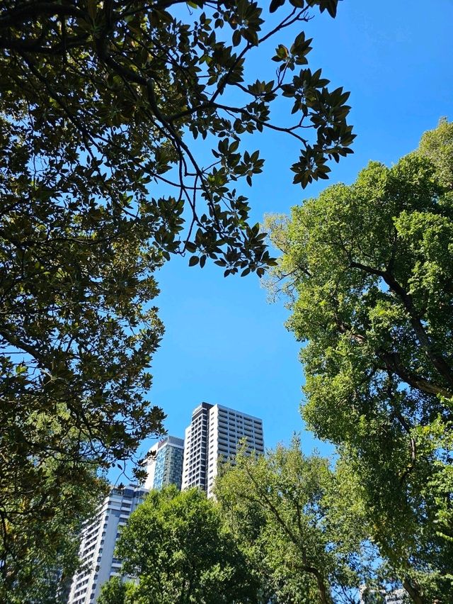 멜버른 🇦🇺 도심 속 초록 힐링 장소 