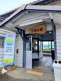 【福岡県うきは市：流川の桜並木】春の訪れを感じる絶景桜の並木道🌸