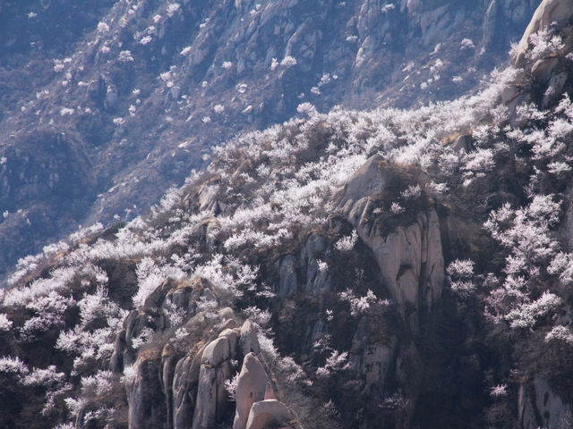 Fenghuangling Nature Park
