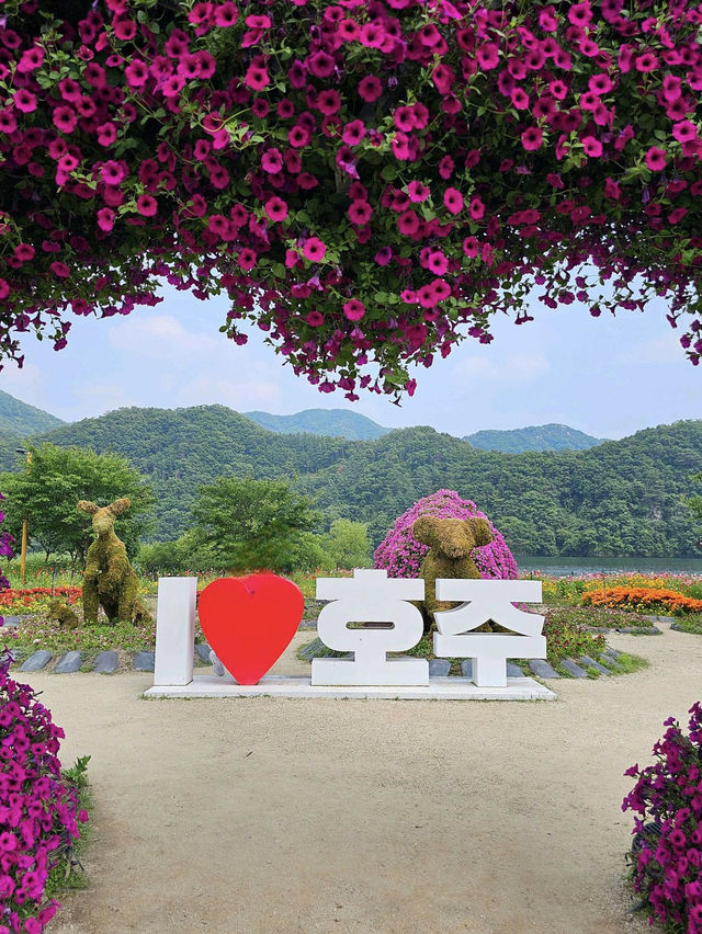✨서울 근교 주말 나들이 가평 자라섬 축제😃