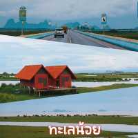 ทะเลน้อย  จ.พัทลุง
