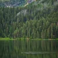 Jacks Lake：湖光山色淨土，享受大自然之美