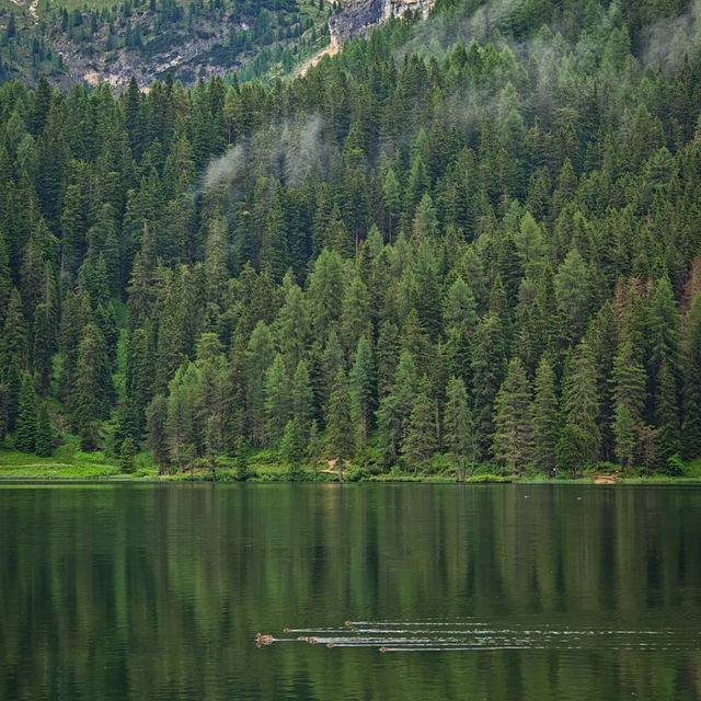 Jacks Lake：湖光山色淨土，享受大自然之美