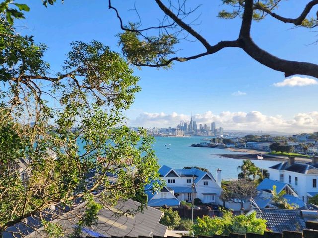 Auckland on a budget