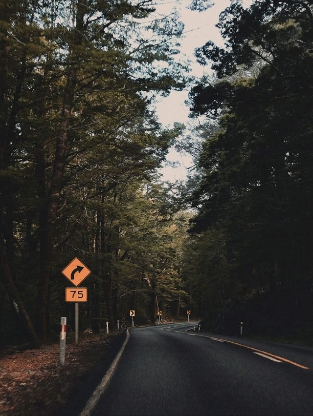 Road Trip to Fiordland National Park