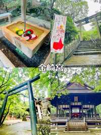 【福井県】越前・若狭の御朱印旅