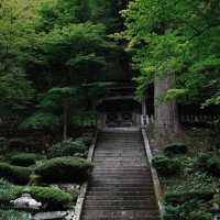 孔大寺神社 ⛩️ 平靜祥和
