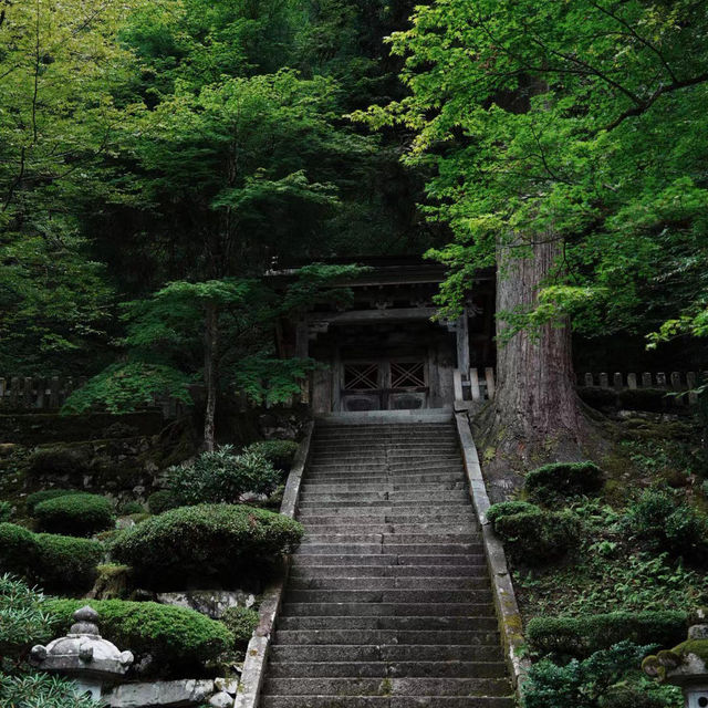 孔大寺神社 ⛩️ 平靜祥和