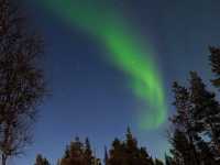 【瑞典極光之旅】Arctic Dogsled Adventure AB：極光：狗拉雪橇、雪地摩托車，秋季哈士奇訓練課程