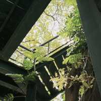 Rawr Cafe: ป่ากลางเมือง สุขุมวิทที่ไม่ควรพลาด