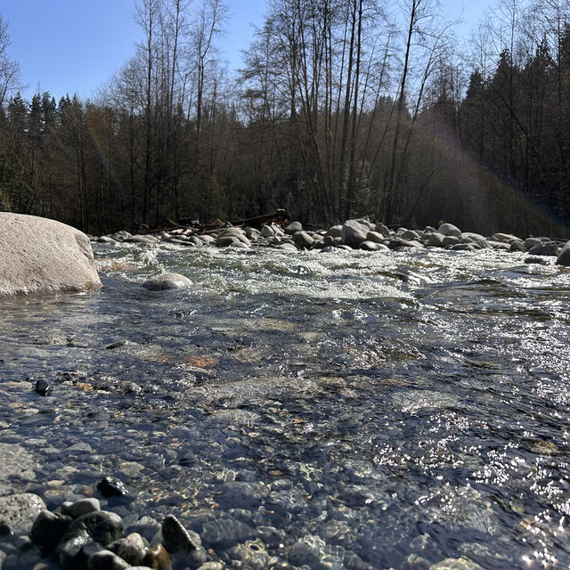【バンクーバー inカナダ】🇨🇦Lynn Canyon Park 〜カナダの軽井沢〜