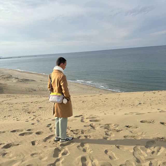 Splendid sand dunes with Camels in Tottori, Japan 🇯🇵 
