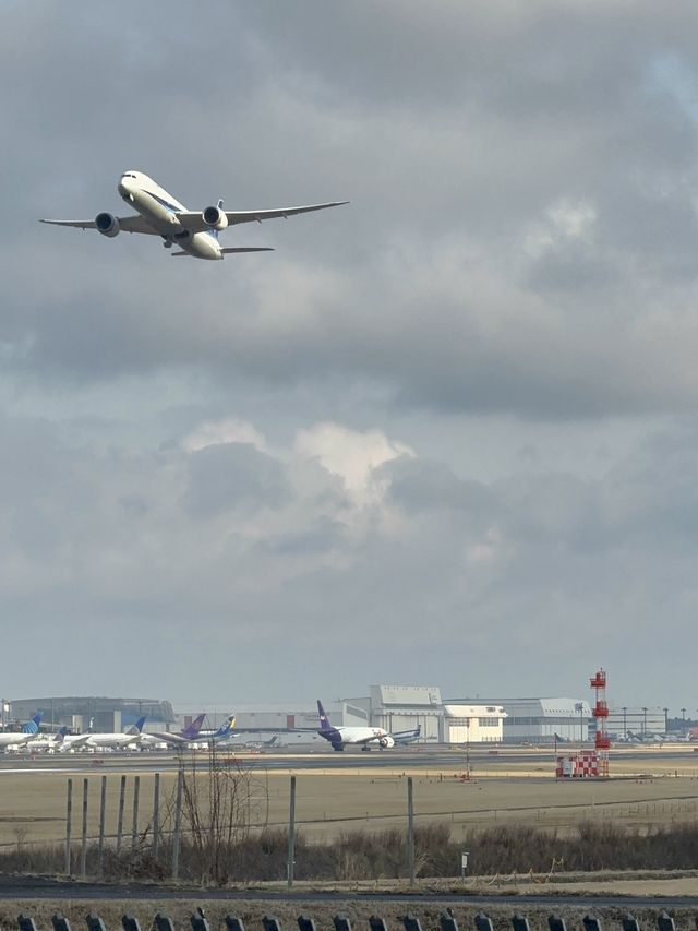 【千葉(成田)】何度でもいける！飛行機好き必見！飛行機が間近でみられる！