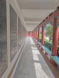 集當代書法大全藝術風采：中國翰園