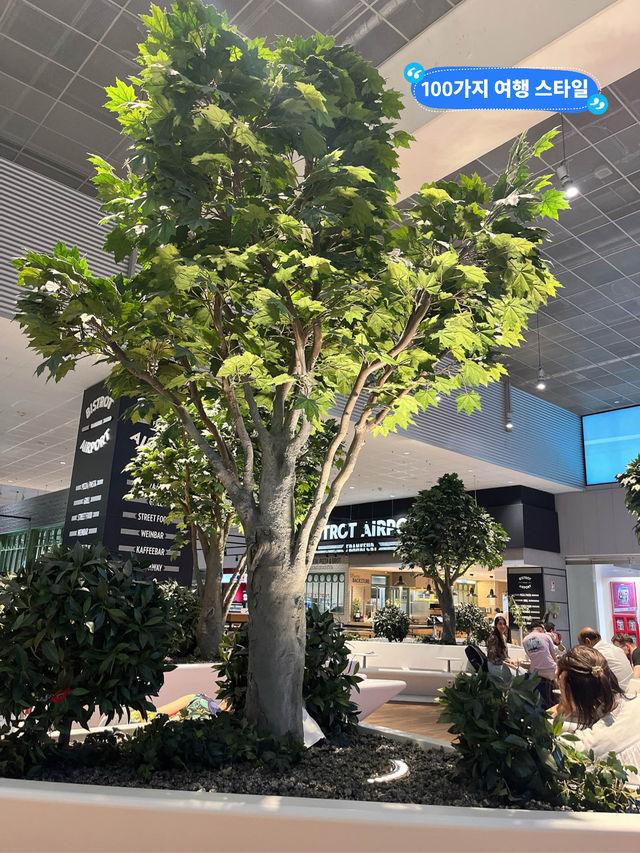 공항 노숙도 문제 없는 프랑크프루트 공항✈️