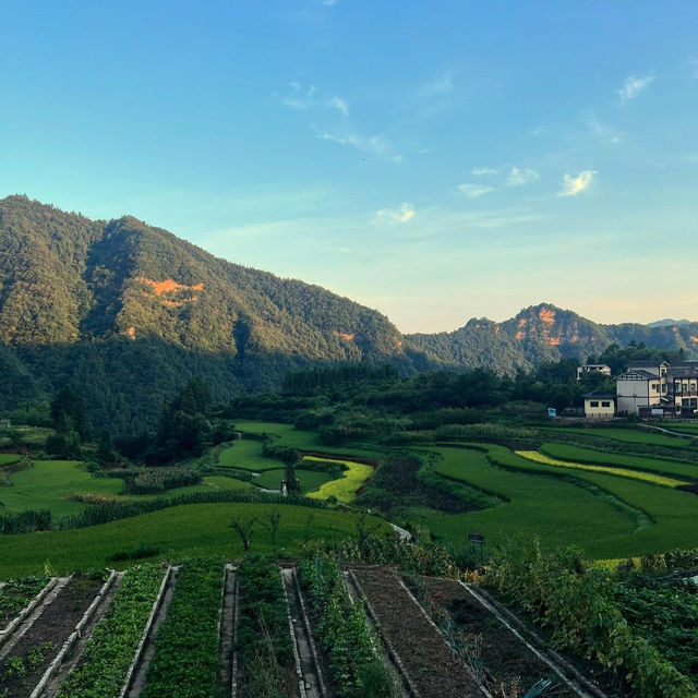 The Mystical Beauty of Zhangjiajie National Forest Park 