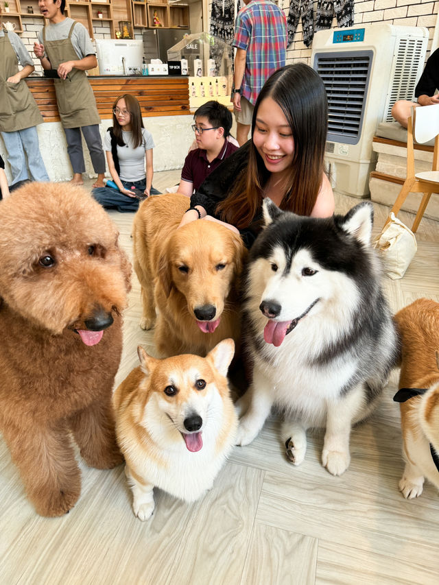 泰國曼谷咖啡店｜喜歡狗狗的不要錯過🐶